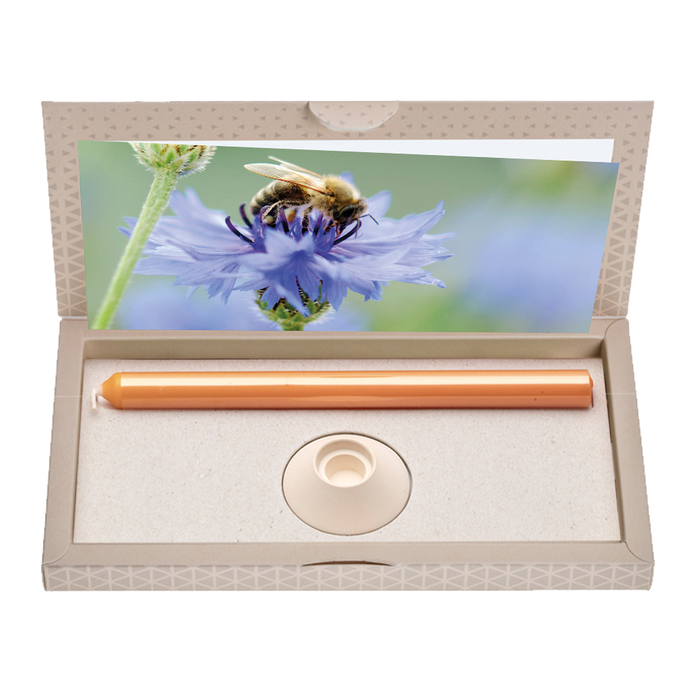 Honigbiene - Brieflicht,