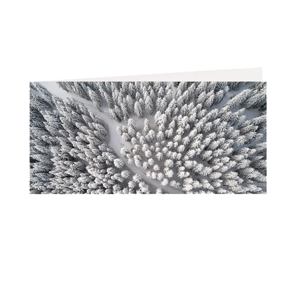 Winterwald Klappkarte mit Umschlag,